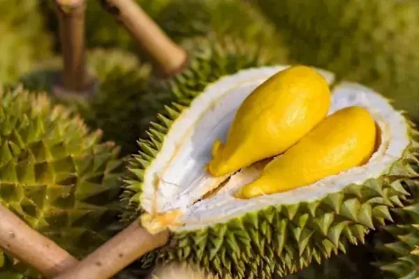 Có Nên Cúng Sầu Riêng Cho Ông Địa?