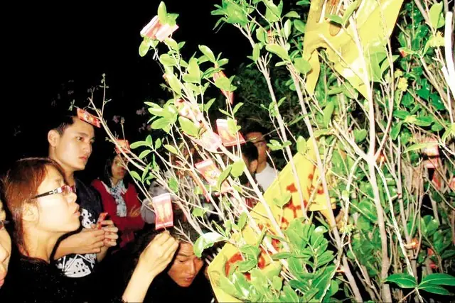 Hái Lộc Đầu Năm Dễ Rước “vong” Vào Nhà?