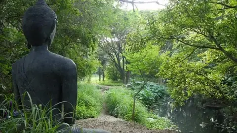 Công Đức Cúng Dường Xá Lợi Phật: Giá Trị Tâm Linh Và Những Điều Cần Biết