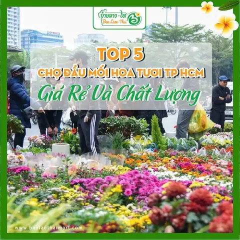 Top 5 Chợ Đầu Mối Hoa Tươi Tp Hcm Giá Rẻ Và Chất Lượng