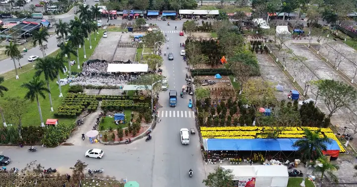 Chợ Hoa Tết Đà Nẵng Bắt Đầu Đón Khách | Báo Nhân Dân Điện Tử