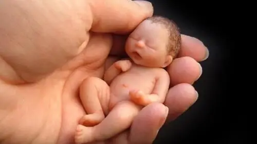 Lễ Cúng 49 Ngày Cho Thai Nhi: Ý Nghĩa Và Hướng Dẫn Chi Tiết