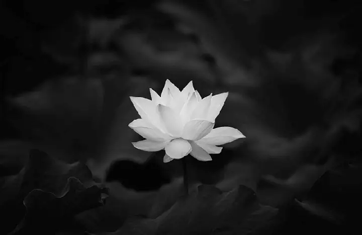 Cúng 49 Ngày Trước Có Được Không? Những Điều Kiêng Kỵ Và Ý Nghĩa Bạn Cần Biết