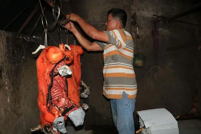 Nghề Quay Heo Cúng Bà - Báo An Giang