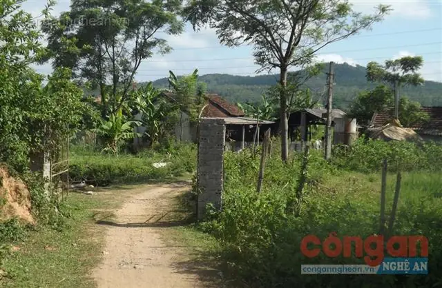 Cần Làm Rõ Nguồn Gốc Gần 600 Kg Thịt Lợn Nghi Nhiễm Bệnh