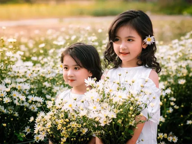 Cúng Căn Ngày Âm Hay Dương: Đâu Là Thời Điểm Chuẩn Xác Nhất?