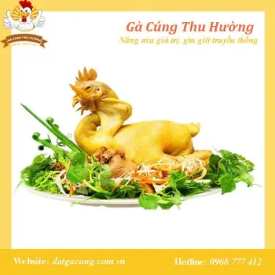 Gà Ta Mái Cúng Rằm (size Lớn 1.7kg - 2.2kg + Gỏi + Cháo)