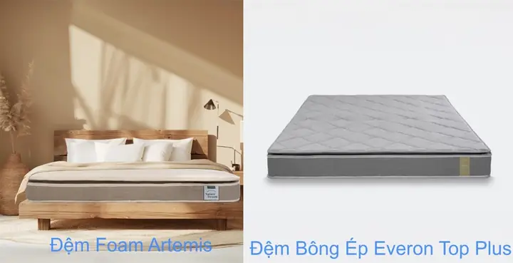 So Sánh Đệm Everon Top Plus Và Artemis Nature Dream | Chọn ...