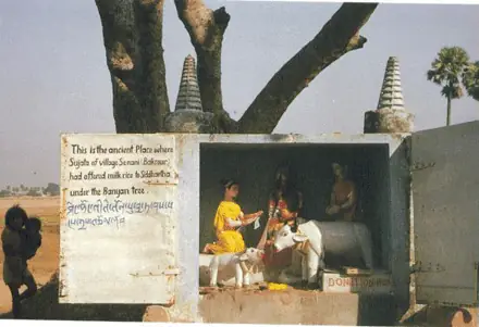 Những Giai Thoại Về Cháo Trong Kinh Phật | Giác Ngộ Online