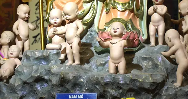 Tết Ấm Của Những Sinh Linh Nhỏ Chưa Chào Đời