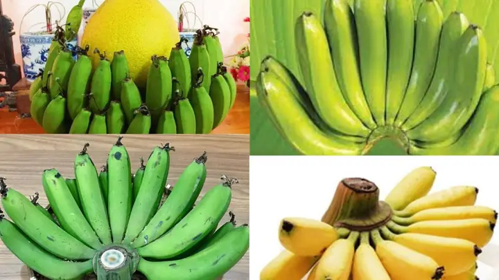 Cúng Chuối Sinh Đôi: Ý Nghĩa, Cách Chuẩn Bị Và Những Điều Cần Biết