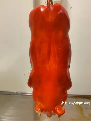 Heo Quay Cúng Cô Hồn | Giảm 10% Ngay Hôm Nay