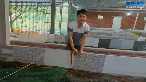 Ý Nghĩa Và Cách Nấu Canh Khổ Qua Dồn Thịt Cúng Ông Bà Ngày Tết