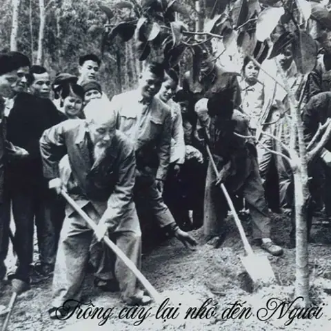 Chúng Con Canh Giấc Ngủ Của Người (trọng Tấn) - Zing Mp3