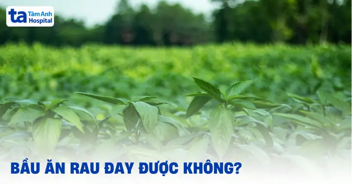 Bầu Ăn Rau Đay Được Không Và Cần Lưu Ý Những Gì?