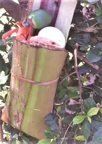 Cúng Đất Tháng 3: Nguồn Gốc, Ý Nghĩa Và Nghi Lễ Đặc Sắc Của Người Bình Thuận