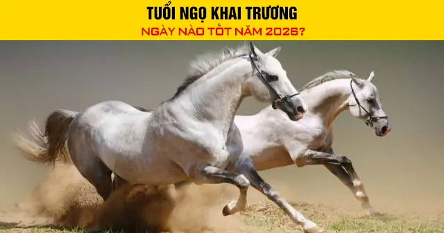 Cúng Đầu Năm 2026: Danh Sách Ngày Hoàng Đạo Tốt Nhất Và Những Điều Cần Biết