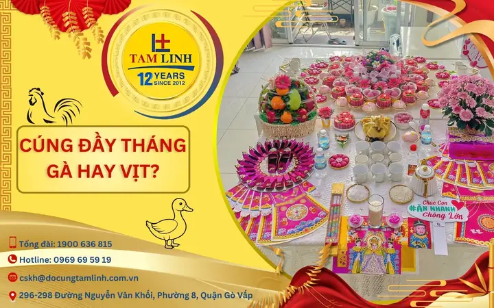 Cúng Đầy Tháng Gà Hay Vịt: Giải Đáp Chi Tiết Về Ý Nghĩa & Phong Tục