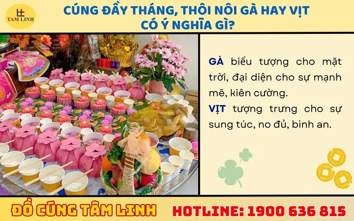 Cúng Đầy Tháng Gà Hay Vịt: Giải Đáp Chi Tiết Về Ý Nghĩa & Phong Tục