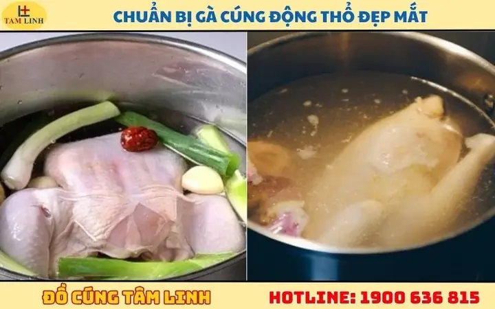 Cách Chuẩn Bị Và Luộc Gà Cúng Động Thổ Đẹp Mắt, Trang Nghiêm