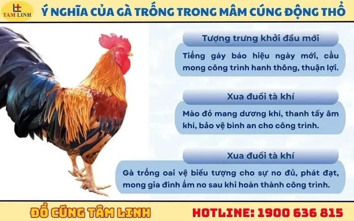 Ý Nghĩa Của Gà Trống Trong Lễ Cúng Động Thổ