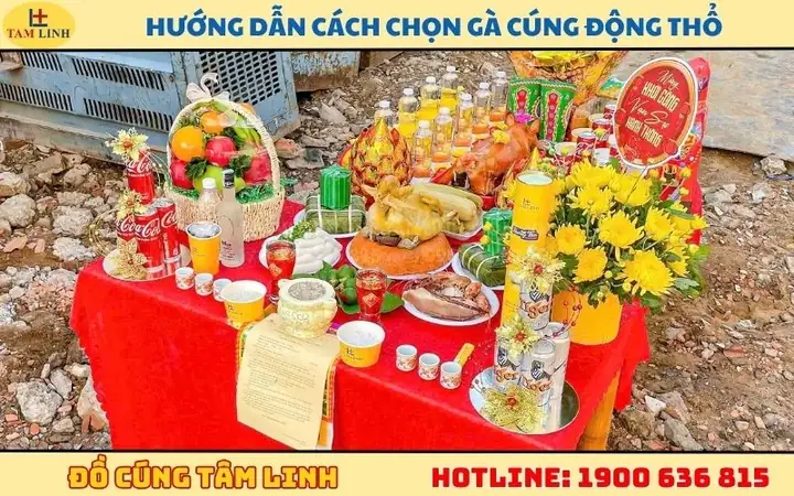 Hướng Dẫn Cách Chọn Gà Trống Cúng Động Thổ