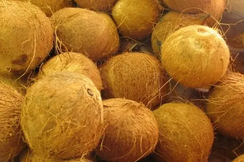 Giá Dừa Khô Hôm Nay Bến Tre, Trà Vinh, Vĩnh Long 4/01/2026