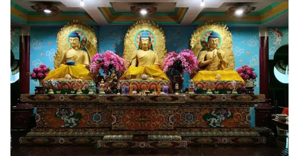 Báo Cáo Cúng Dường Ánh Sáng Cho Chùa Việt Nam Tại Ấn Độ