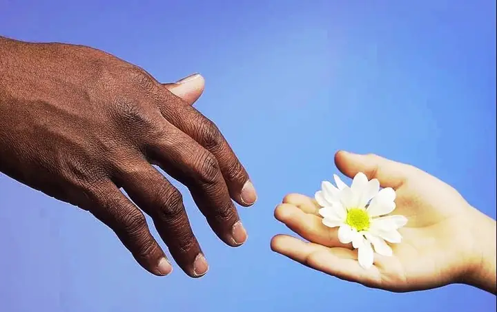 Cúng Dường Ba La Mật: Khái Niệm, Lợi Ích Và Cách Thực Hành Đúng Theo Giáo Lý Phật Giáo