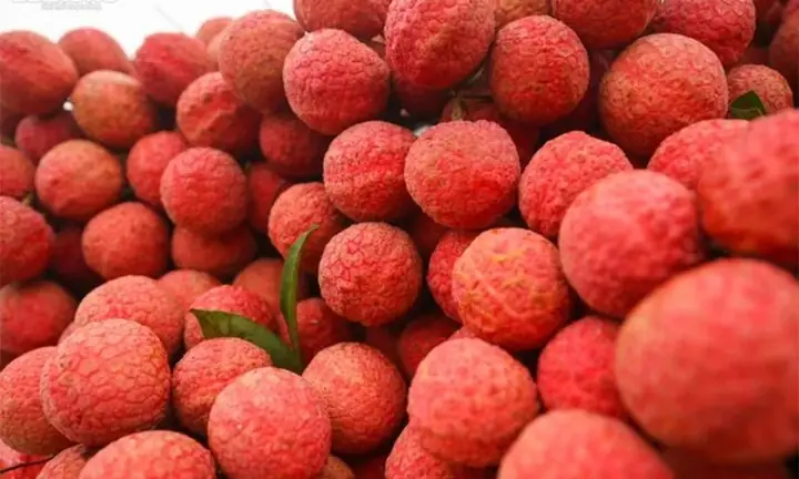 Cách Chọn Vải Thiều Ngon Không Phải Ai Cũng Biết - Báo Hưng Yên ...