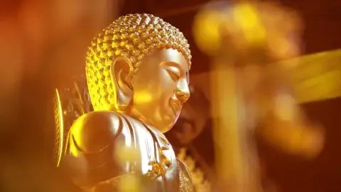 Cúng Dường Đúng Pháp: Cẩm Nang Toàn Diện Cho Phật Tử Hiện Đại