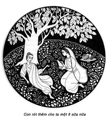 Chương 05: Bát Sữa Cứu Mạng – Làng Mai