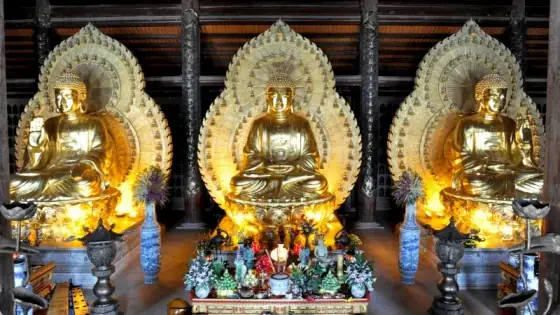 Cúng Dường Tam Bảo Hồi Hướng Phước Báu: Ý Nghĩa Và Cách Thực Hành Đúng Theo Truyền Thống