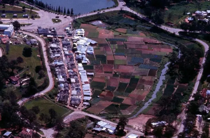 Tổ Tiên Chính Giáo Đại Đạo Sinh Tồn - Mực Tím Sơn Đen