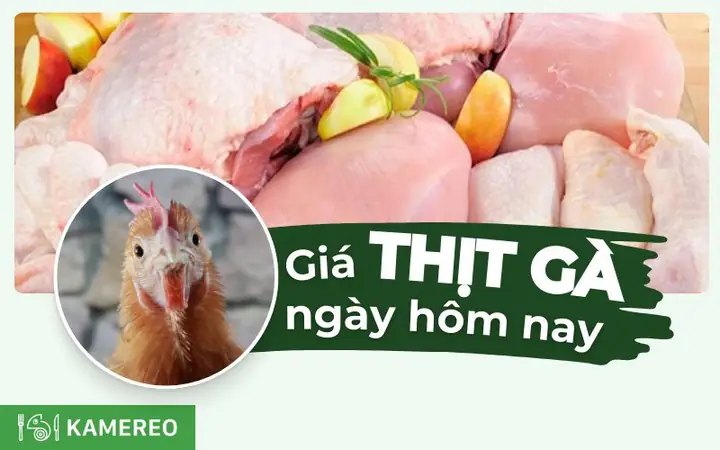 Gà Bao Nhiêu 1kg? Giá Gà Thịt Hôm Nay