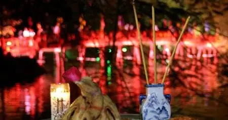 Cẩm Nang Chọn Gà Đông Tảo Cúng Tết: Tiêu Chí Và Cách Phân Biệt Chuẩn Nhất