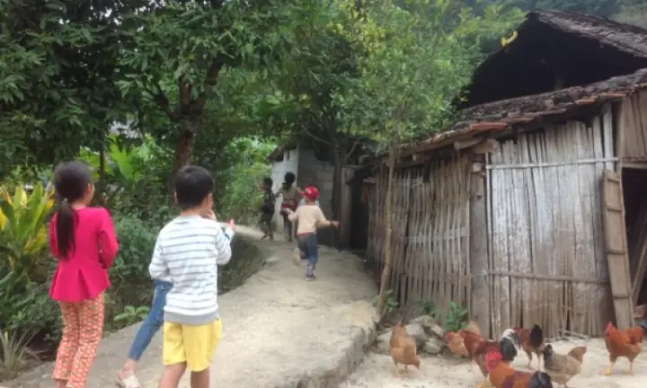 Con Gà Trong Đời Sống Tâm Linh Của Người Dân Tộc Mông - Báo Cao ...