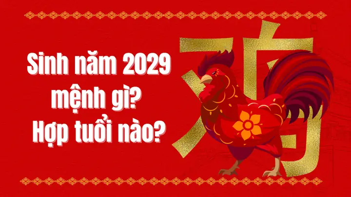 Sinh Con Năm 2029 Mệnh Gì? Tuổi Gì? Hợp Với Bố Mẹ Tuổi Nào?