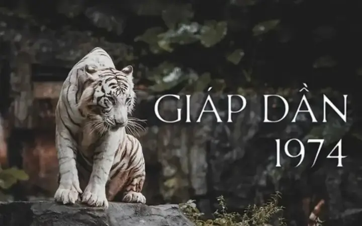 Nam Mạng Tuổi Giáp Dần 1974 Có Nên Làm Nhà Năm 2026 Không?