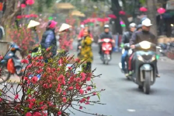 Cẩm Nang Chuẩn Bị Mâm Cúng Giao Thừa Tết Nguyên Đán Giáp Thìn 2025