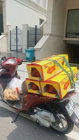 Cúng Heo Quay Như Thế Nào? Hướng Dẫn Chi Tiết Từ A-z Cho Người Mới