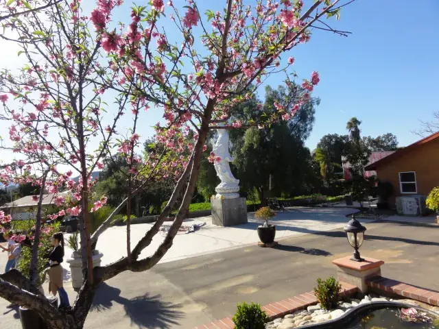 Mẹ Hiền Quan Thế Âm Ở Hai Ngôi Chùa Riverside/ Nguyễn Thị Thêm ...