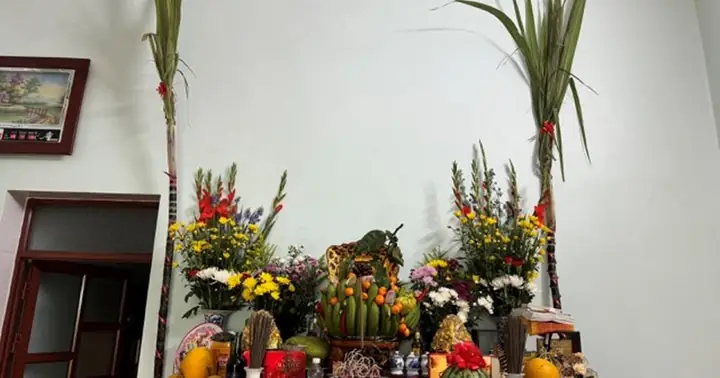 Ý Nghĩa Cây Mía Trong Phong Tục Cúng Bái Ngày Tết Của Người Việt