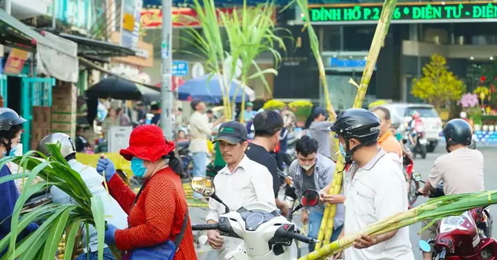 Mía Vàng Hút Khách Trước Ngày Vía Ngọc Hoàng | Báo Sài Gòn Giải ...