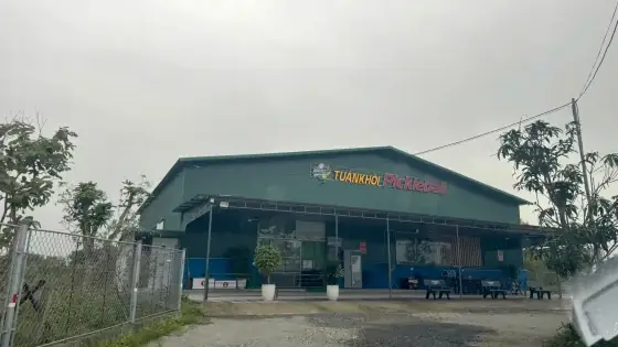 Cẩm Nang Chuẩn Bị Mâm Cúng Và Bài Văn Khấn Tảo Mộ Ngày Tết