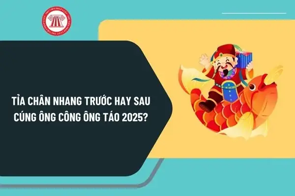 Tỉa Chân Nhang Trước Hay Sau Cúng Ông Công Ông Táo 2025? Lưu Ý ...