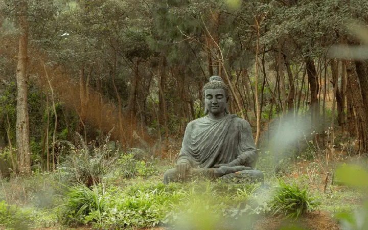 Cúng Ngọ Là Gì? Nguồn Gốc, Ý Nghĩa Và Nghi Thức Thực Hành Đầy Đủ