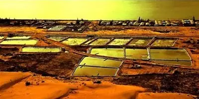 Ca Khúc Chiều Vàng Và Nỗi Buồn Còn Lại.. | Đọt Chuối Non