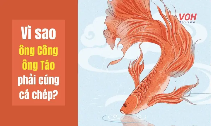 Cúng Ông Táo 30 Tết: Cẩm Nang Chuẩn Từ Lễ Vật Đến Văn Khấn