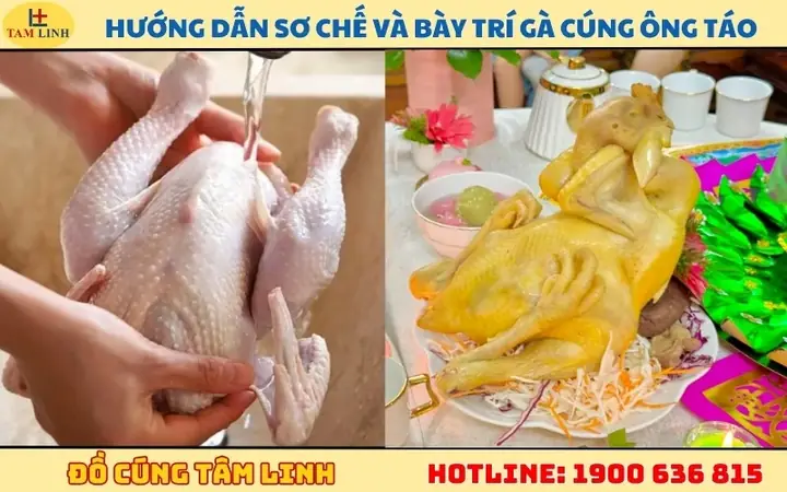 Hướng Dẫn Sơ Chế Và Bày Trí Gà Cúng Ông Công Ông Táo